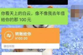 贷款催收警告函：了解其含义与应对策略