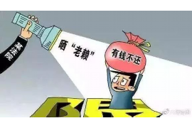 舞阳讨账公司联系方式：高效解决欠款难题